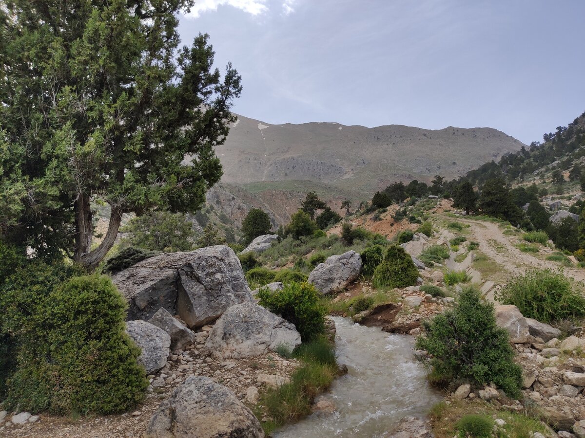 На подъезде к плато Гёмбе. Фото из личного архива без обработки.Листайте