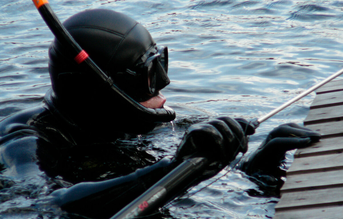 Подводный охотник. Подводный охотник. Подводная охота. Подводный охотник. Подводная охота.