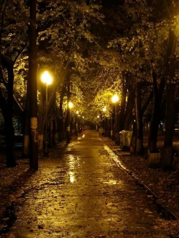 Фото из общедоступной сети Интернет