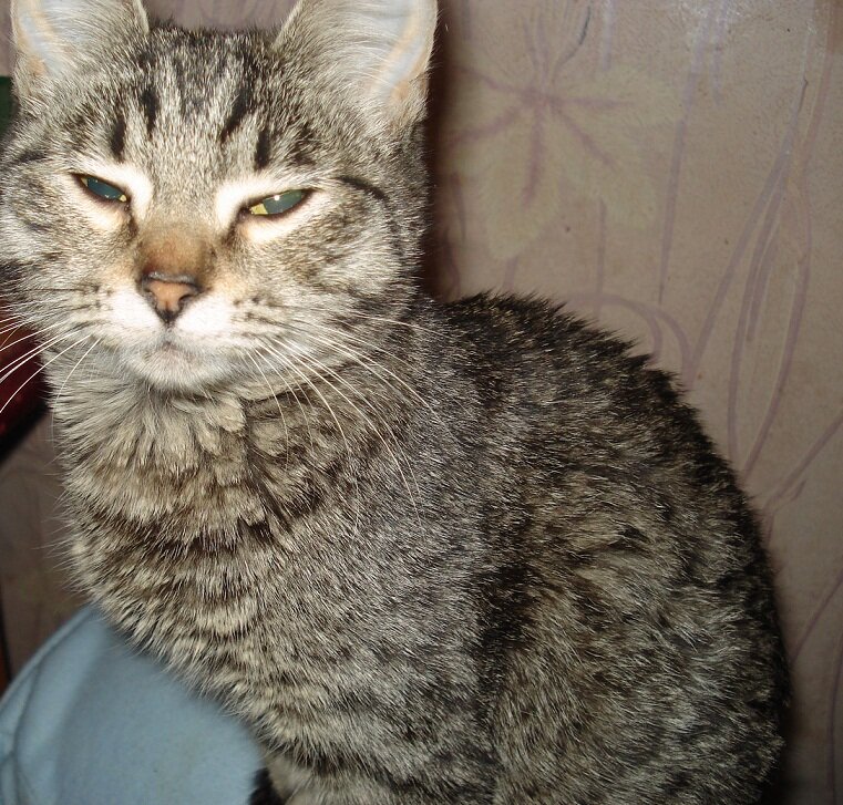 Фото малютки Марии - Бусинки спустя несколько месяцев - Фото из личного архива