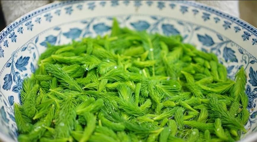 gastronom.ru