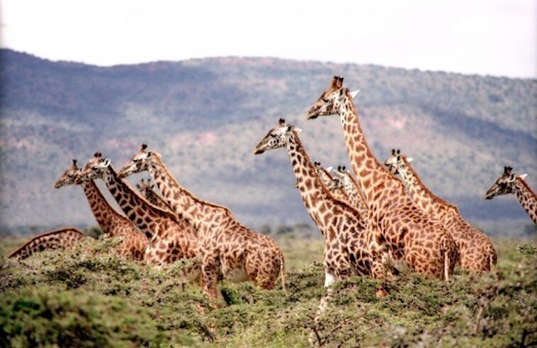 фото: pxhere
