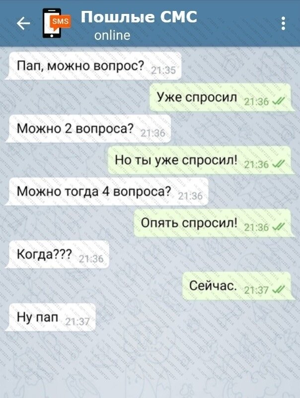 Переписка с девушкой. Извинение девушке переписки. Грубые смс девушке. Смешные моменты с переписок. Смс со знакомством.