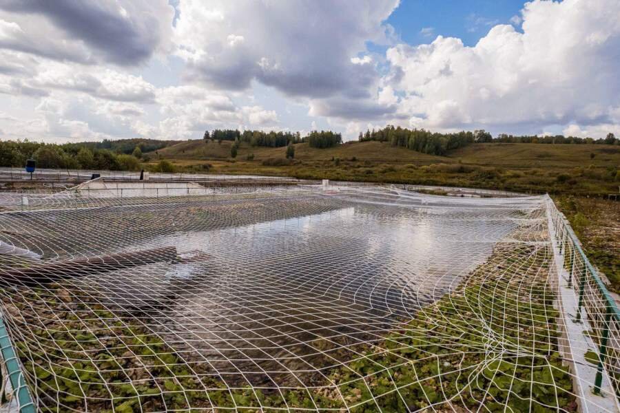 (Фотографии: myasomyaso.ru)