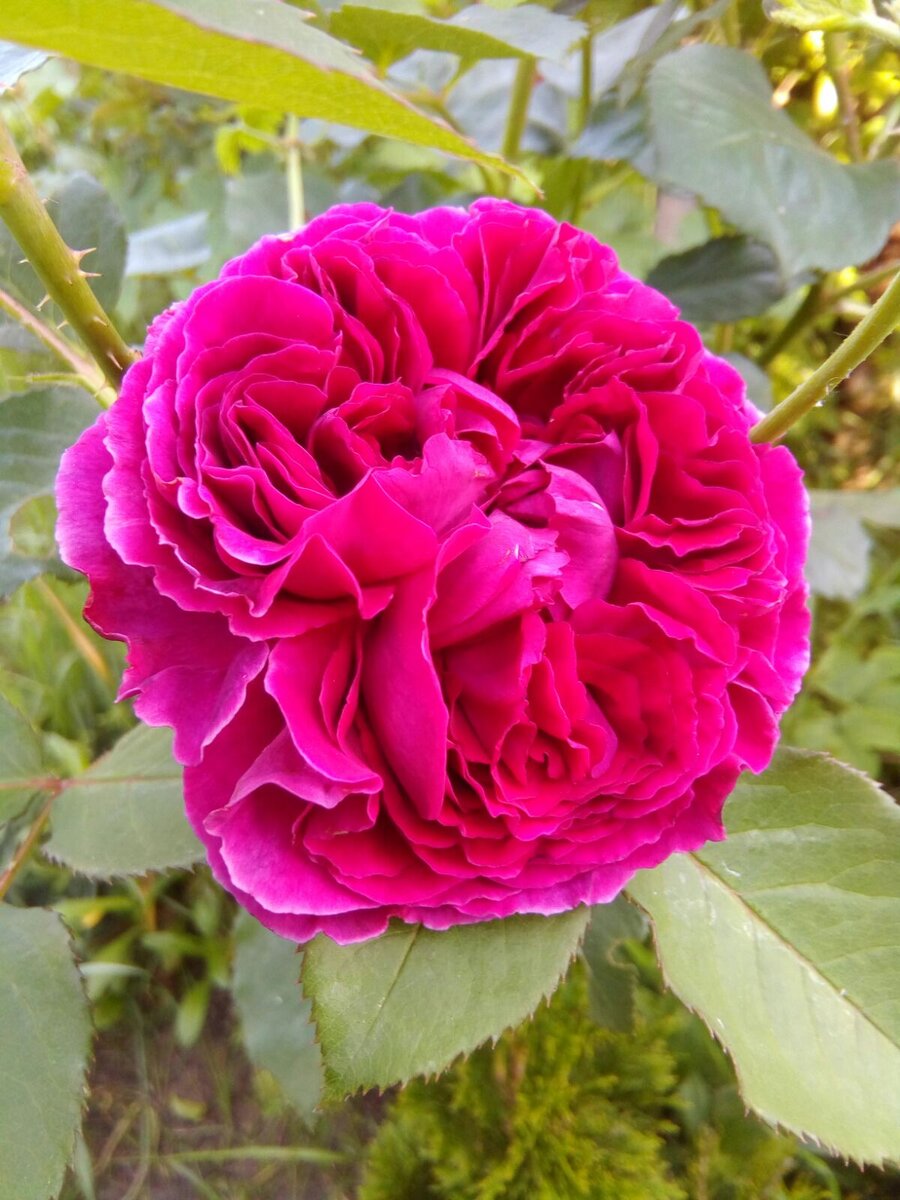 Фото сделал автор канала. 