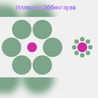 Оптическая иллюзия Эббингауза. Закон суров, но закон есть закон. Окружая себя предметами "своего" размера, мы сразу же добавляем качества нашему образу. Как подобрать правильные размеры - читайте ниже!