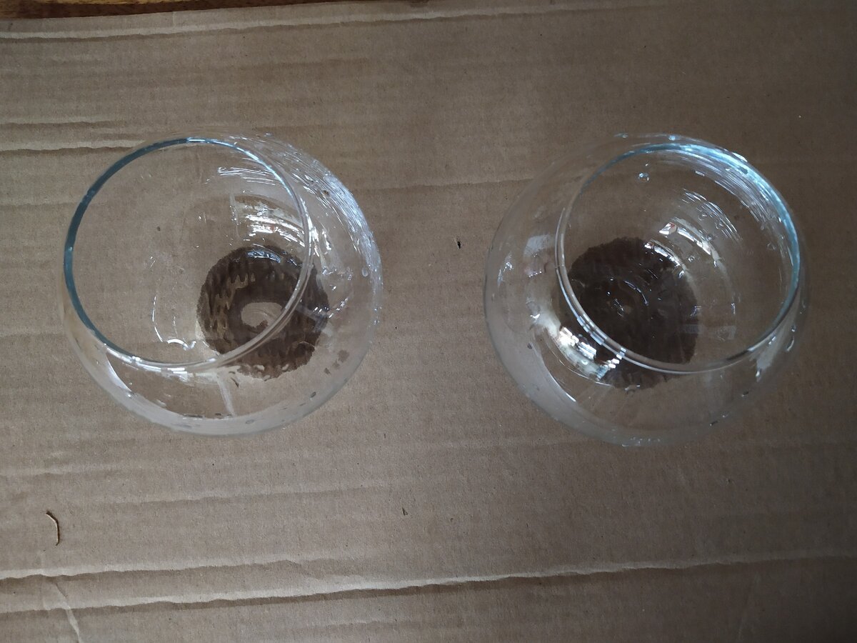 Вазы для флорариумов диаметром 10см