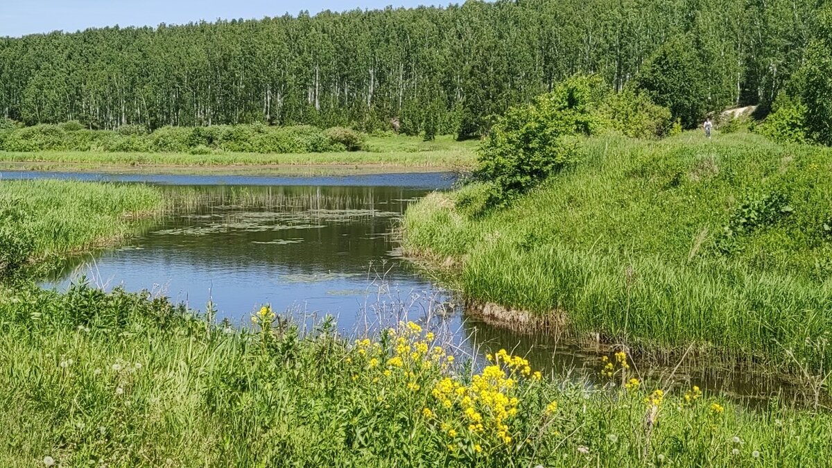 Фото Лиана Романова. 