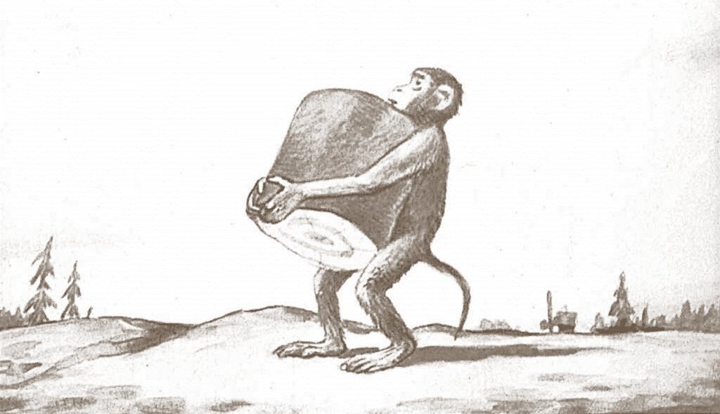 Мартышкин труд это. Труд и обезьяна. Иллюстрация к басне Крылова мартышка и очки. Труд из обезьяны. Фразеологизмы со словом мартышка.