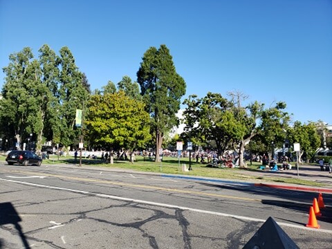 Martin Luther King street