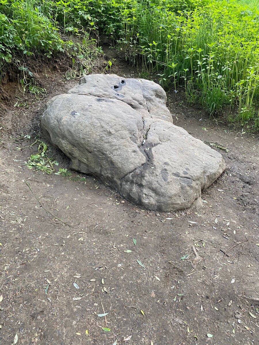 Валун  «Гусь-камень»
