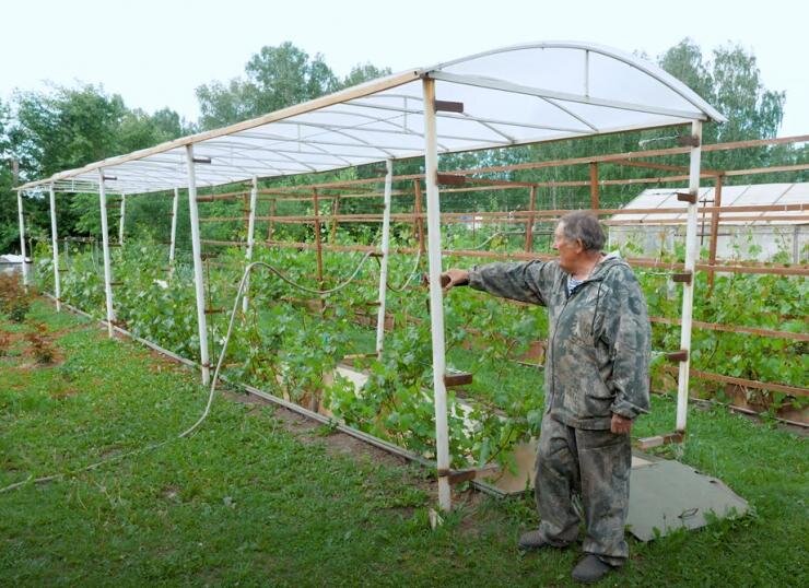 Купить Декоративные опоры для растений в Москве