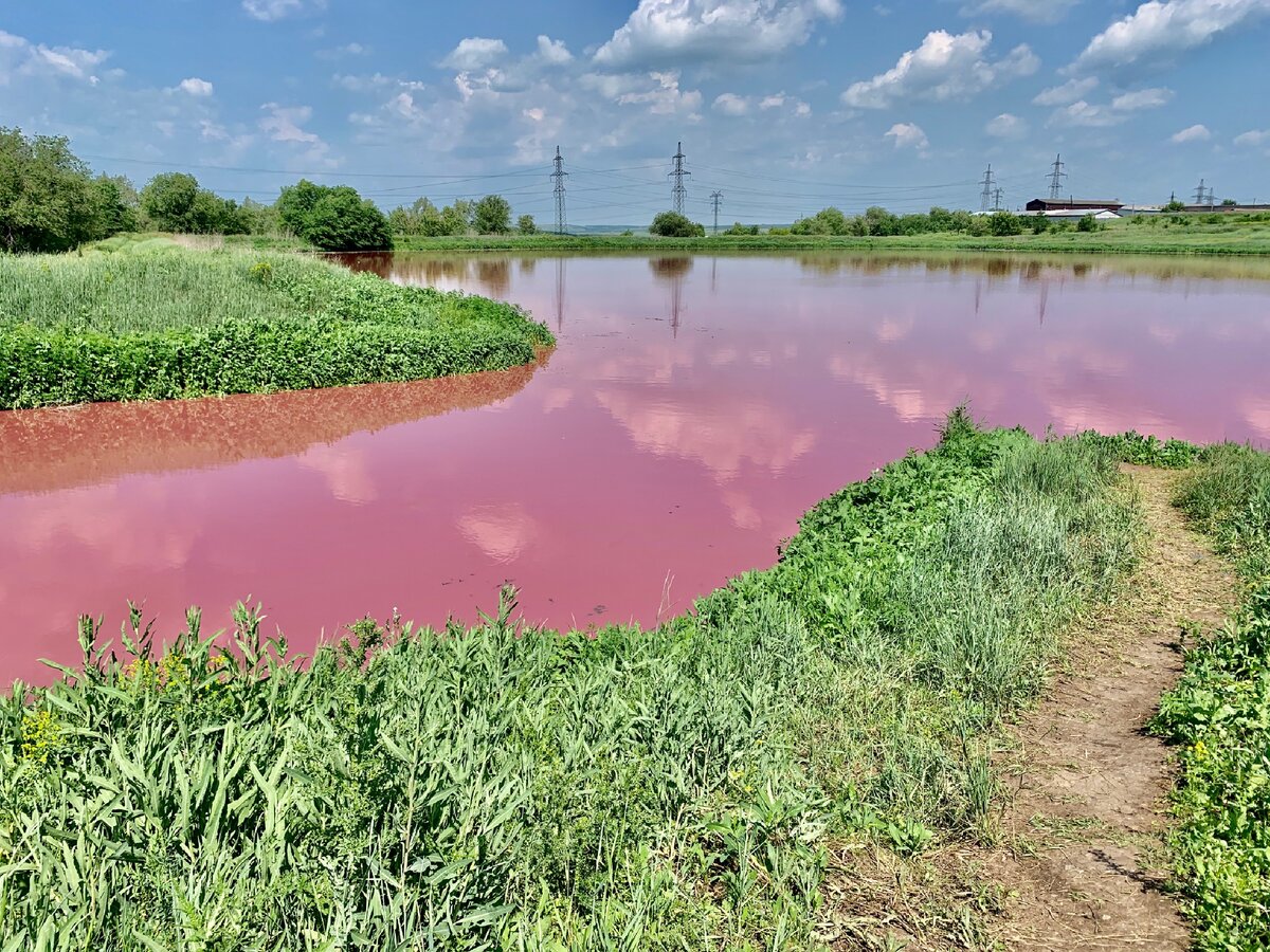 комлевское озеро боровск