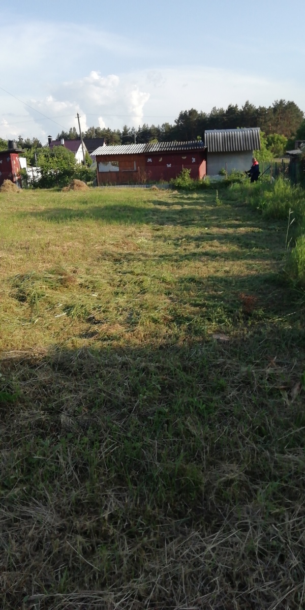 единственное фото участка до выравнивания. тут мы уже начали косить второй раз. на навозе трава росла как сумасшедшая 