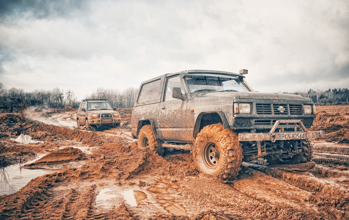 Фото: pixabay.com