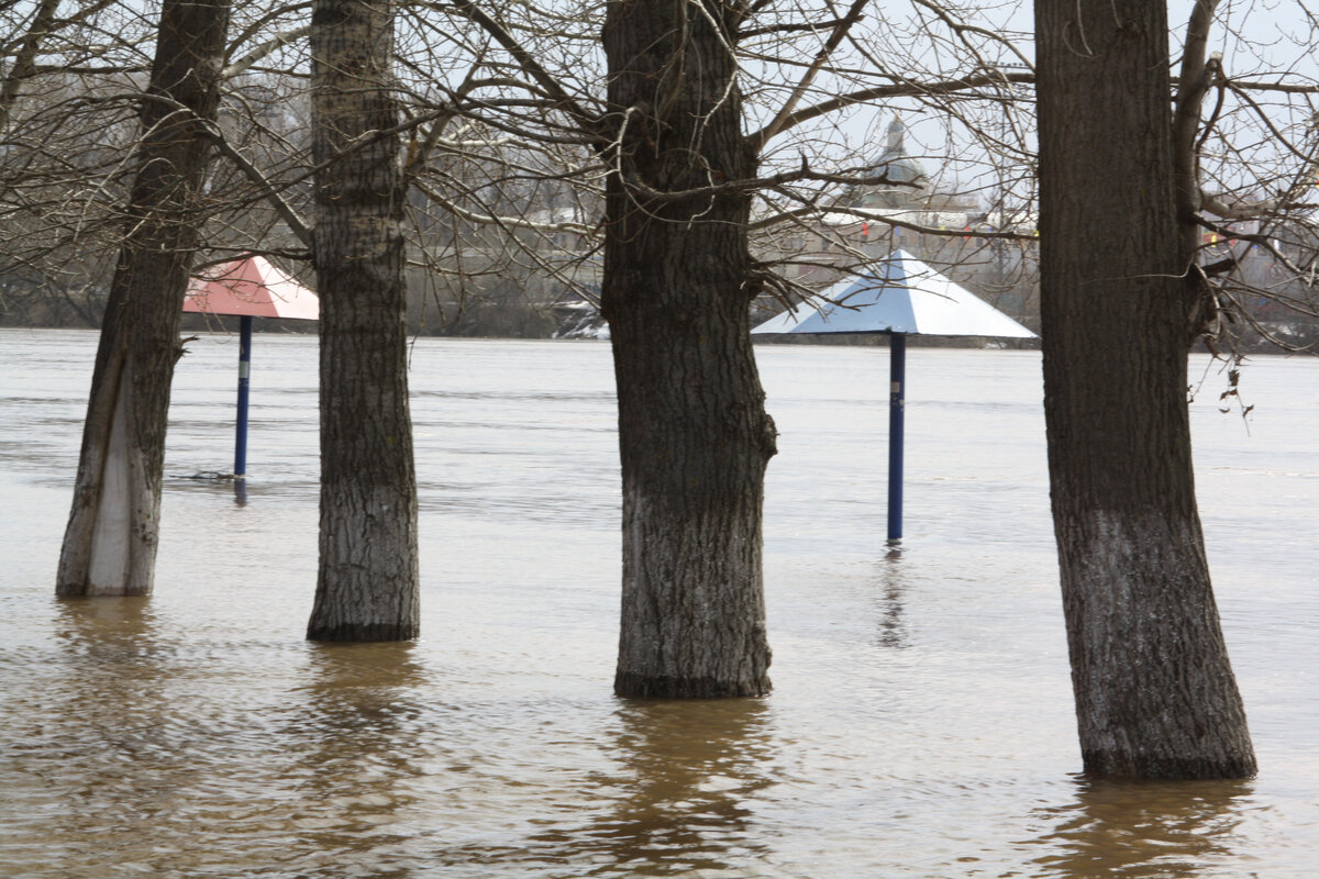 Пляж, утонувший в наводнение с видом на императорский дворец.
