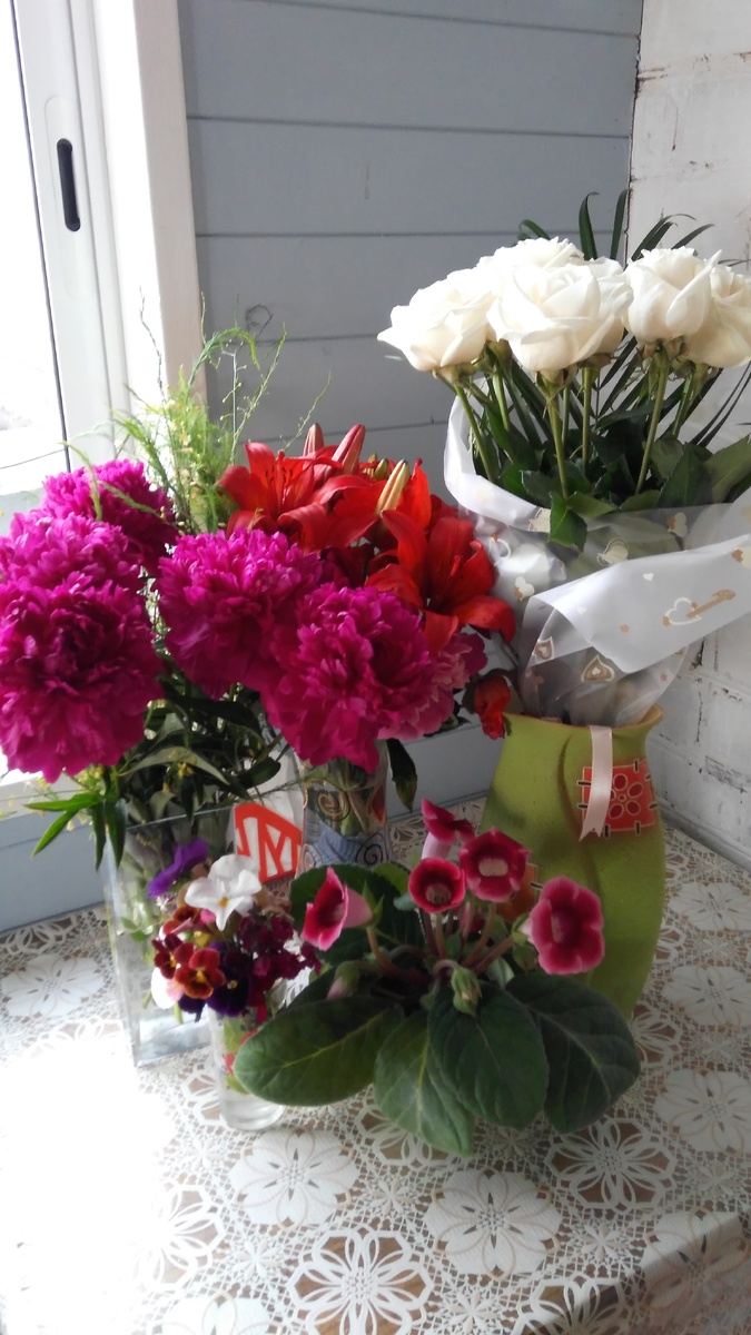 Мои цветочки