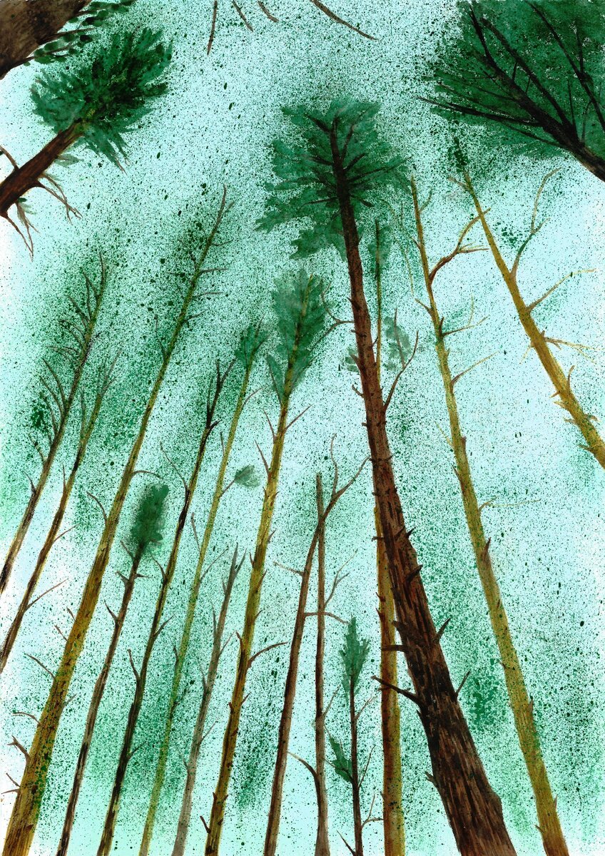 Иллюстрация предоставлена Дмитрием Черняховским и его дочерью.