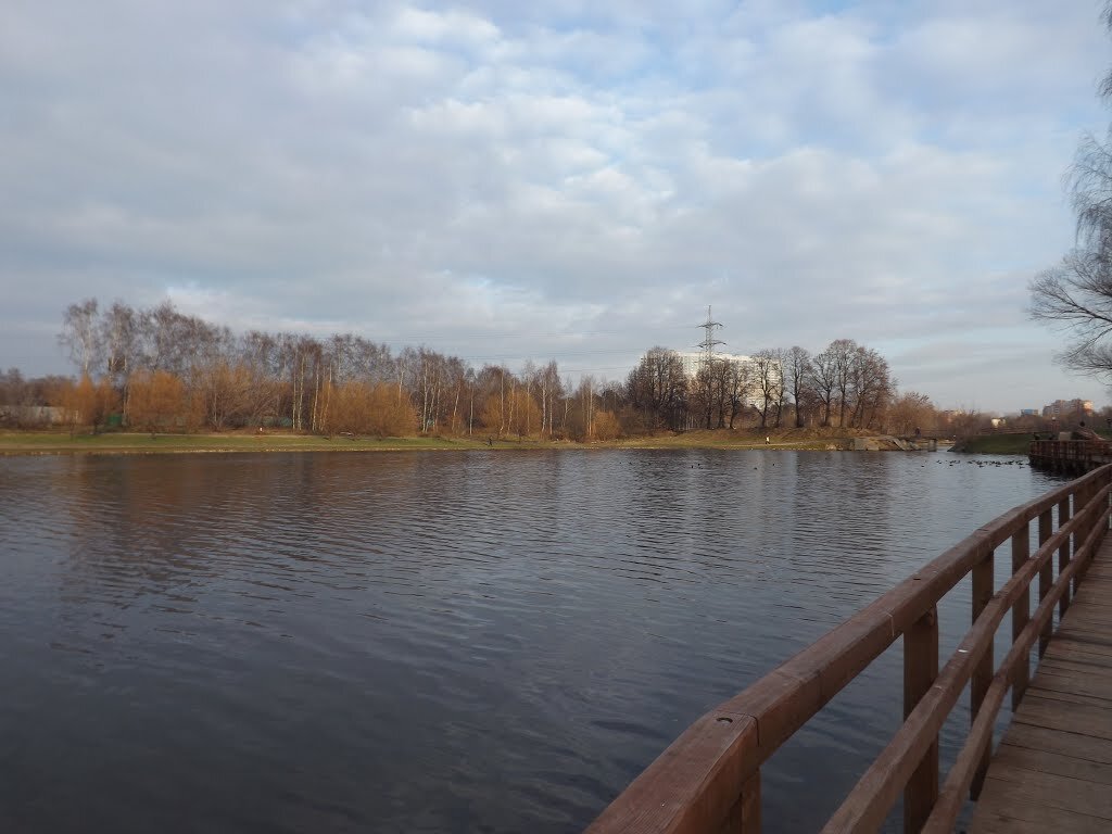 Где купить квартиру в Москве: район Лосиноостровский — парки, чайки и  отсутствие лосей | Домклик | Domclick.ru | Дзен