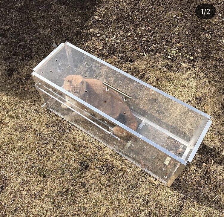 Фото взято из Яндекс.Картинки