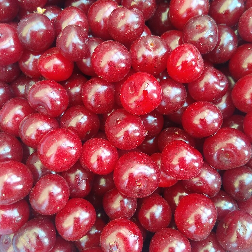 Ягоды вишни