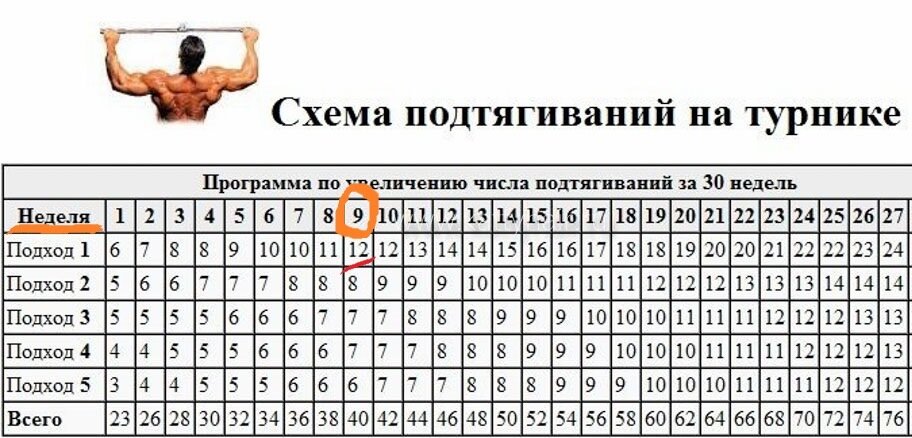 Выполнить нужно 12 раз.  