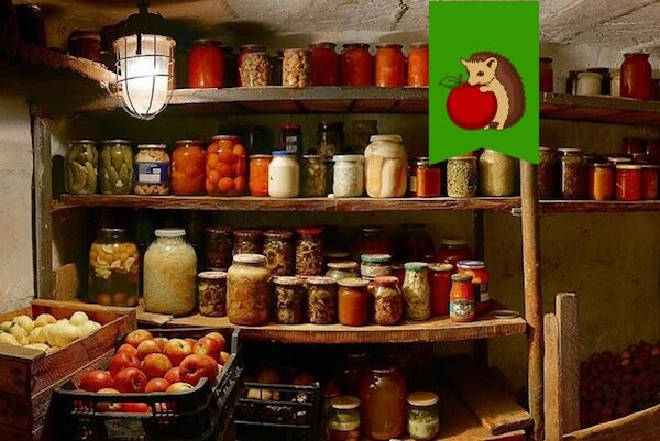 Фото: https://c.radikal.ru/c36/1808/29/b49891508942.jpg