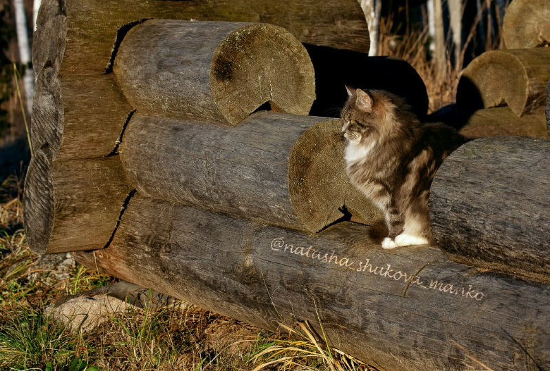 Много размышлений, много букв о высоких материях