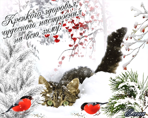 ( с )