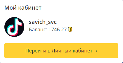 Мой баланс за день.