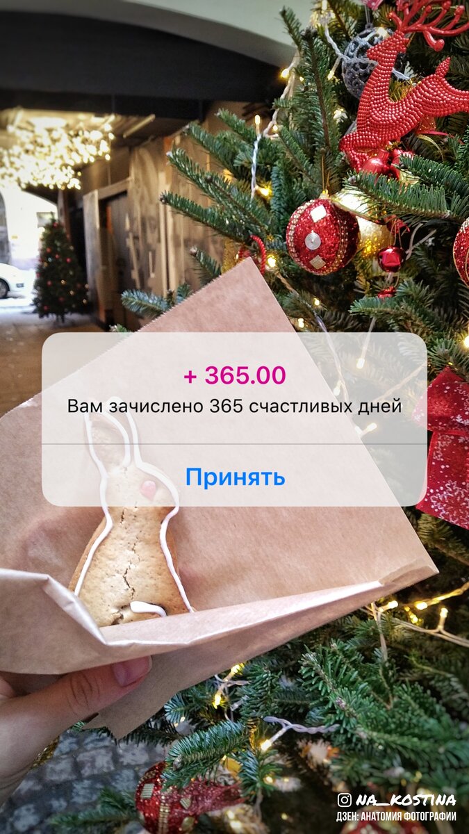 Что когда сдаем и платим. ИП и организации. 4 квартал 2023. Про Бизнес ИП Дзен