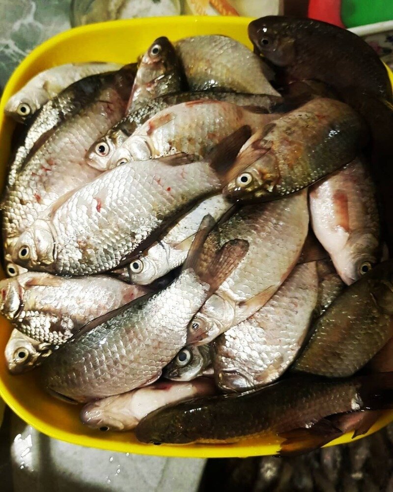 Фото https://www.instagram.com/p/CJJL1rYAfGh/