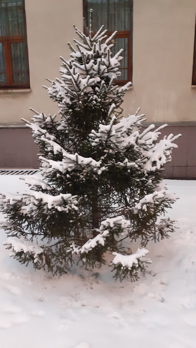 Каникулы и зимняя красота зовет на улицу. А еще в каникулы можно весело и интересно провести время с ребенком, играя в развивающие игры.