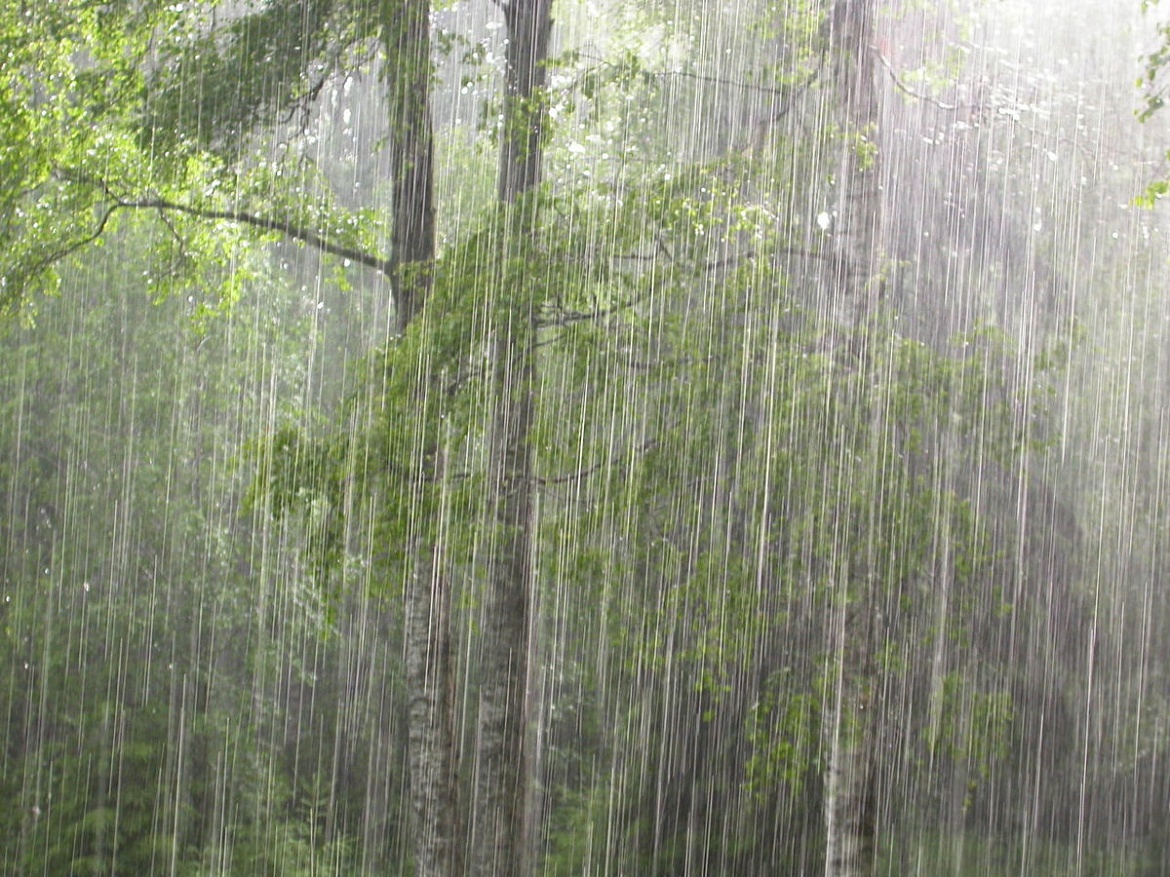 Rain means. Сильный дождь. Ливневые дожди. Сильный дождь в лесу. Сильный ливень.