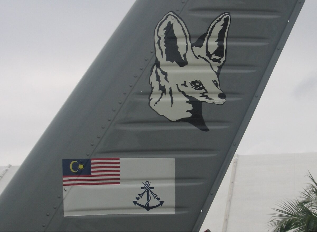 Вверху - изображение лисички под названием фенек, а внизу - флаг Королевских ВМС Малайзии (© Владимир Щербаков)