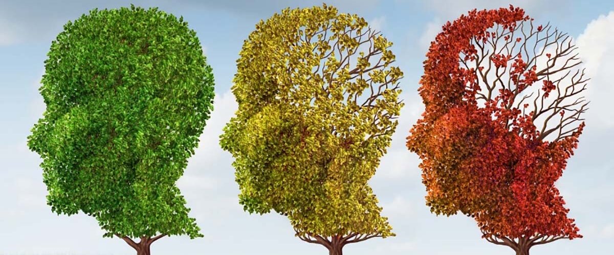 Картинка из открытых источников интернета