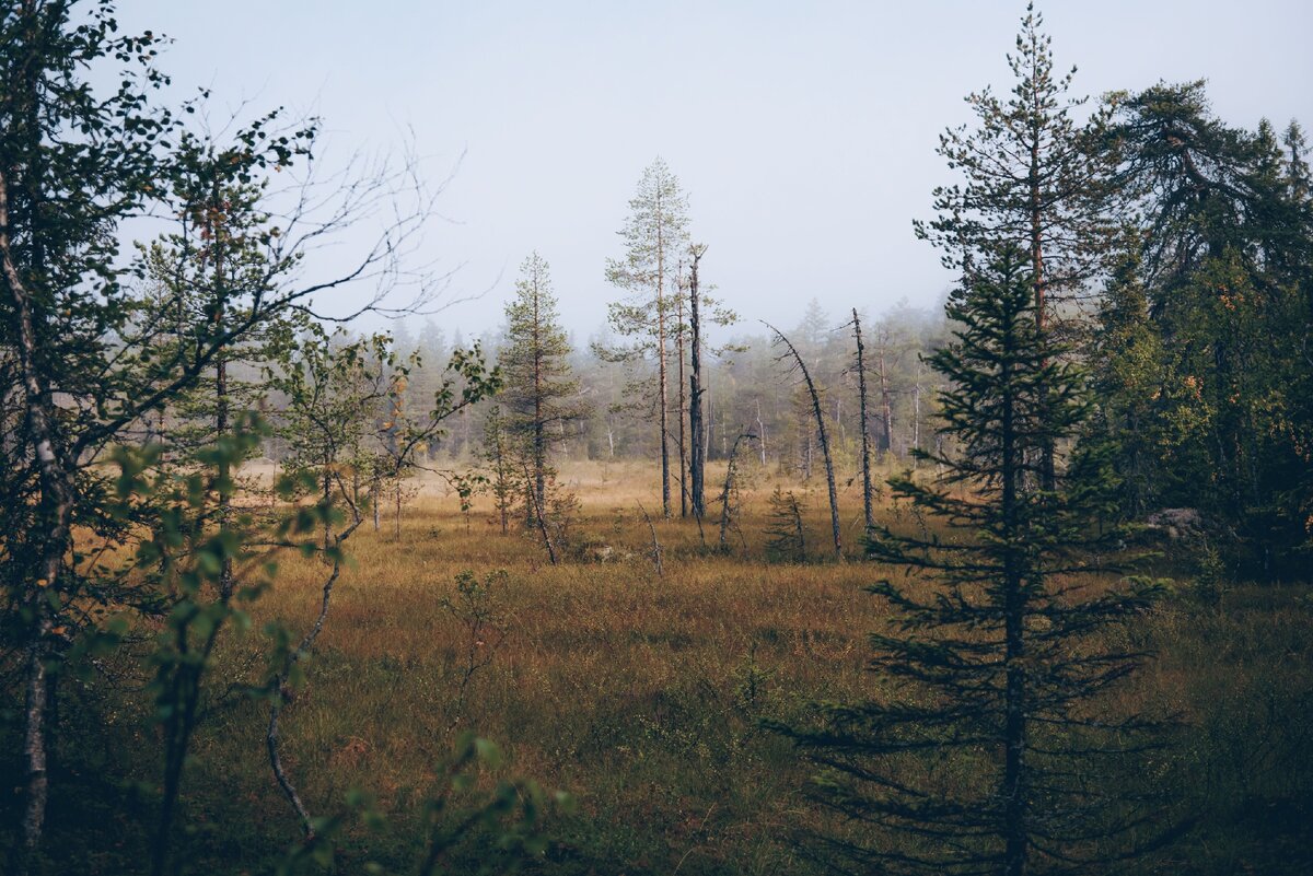 Фотографии сделаны на вершине горы