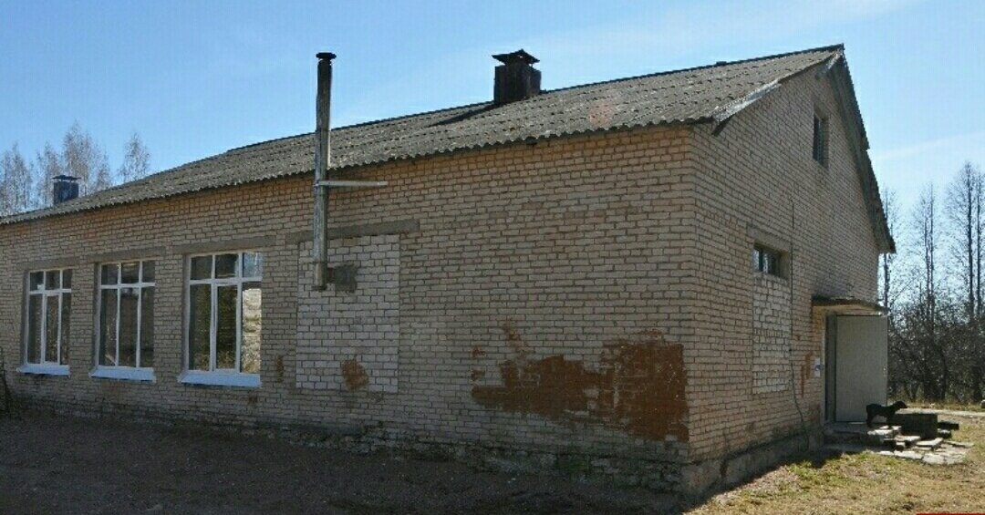 Малая губа фото. Деревня Петрухны Островский район. Малая губа Островского района Псковской. Малая губа деревня Псковская область. Шики Островский район Псковской области