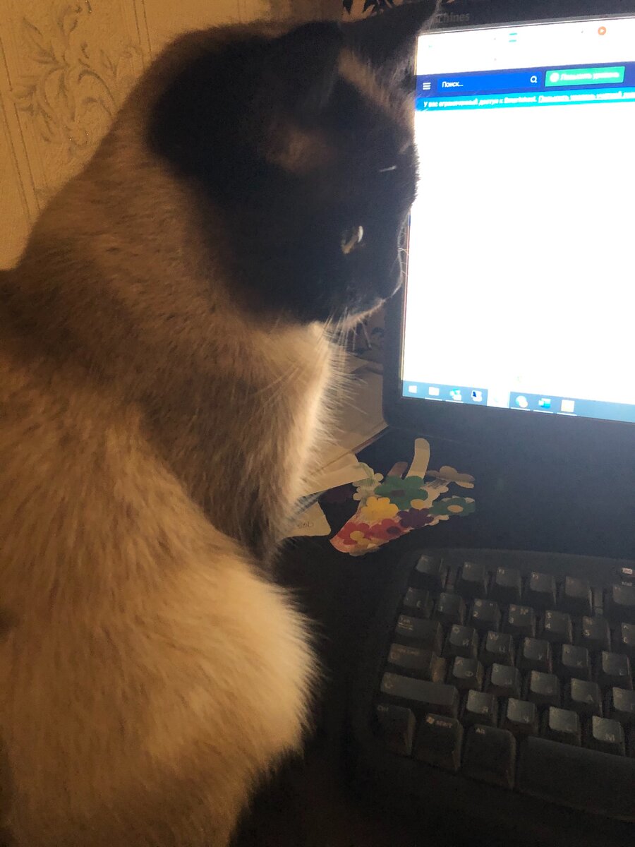 Помощница😀