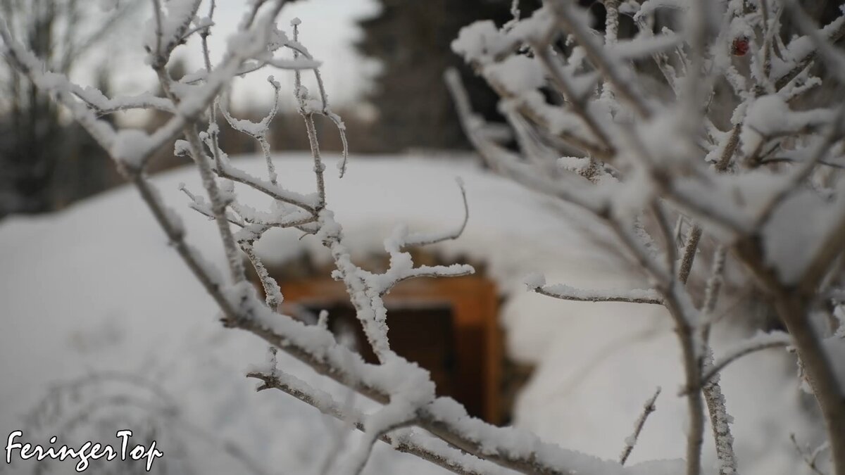 На улице -21. На заднем фоне баня-землянка