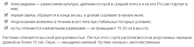 Когда высаживать землянику из семян. Готовимся к весне