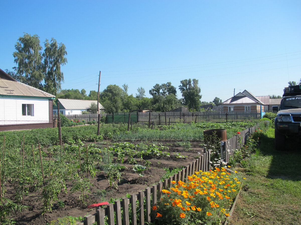 Огород в деревне