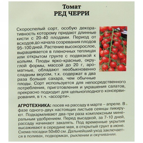 Томат черри Ред. Фото из Интернета.