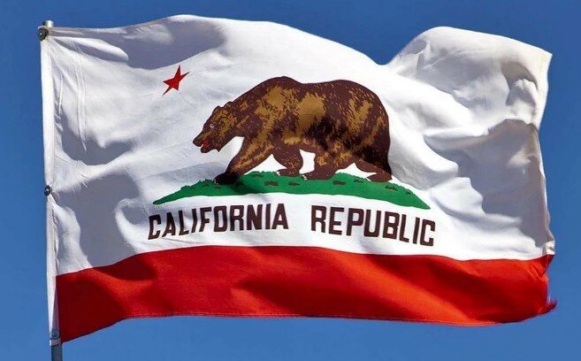 Медведь и красная звезда на флаге вызывают подозрения, взято с Яндекс.Картинки