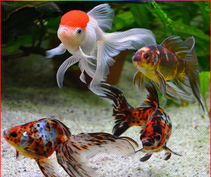 aqa.ru  Обработка фото-автор текста