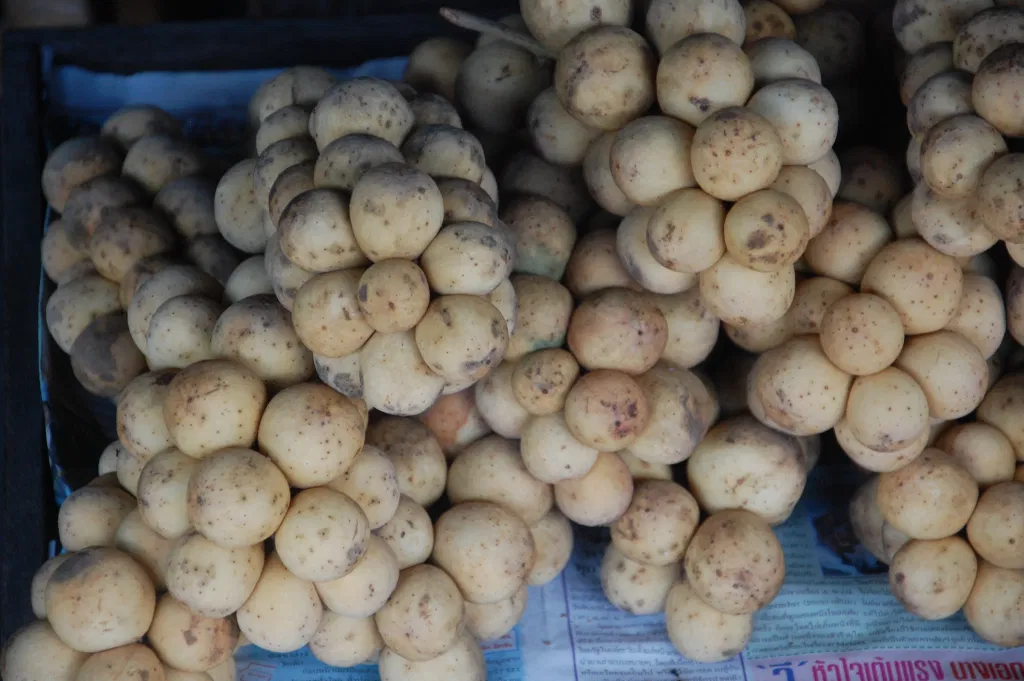 Изображение взято из открытого источника. 