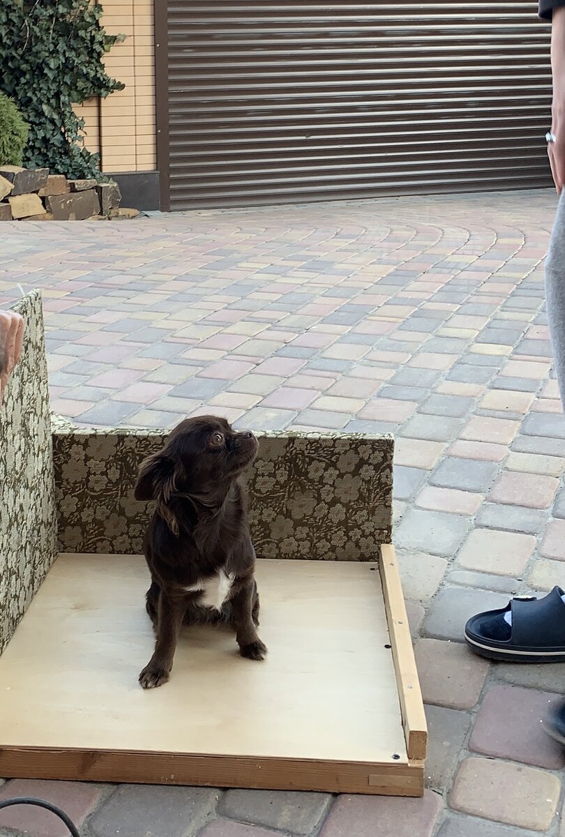 Пока ещё страх в глазах.