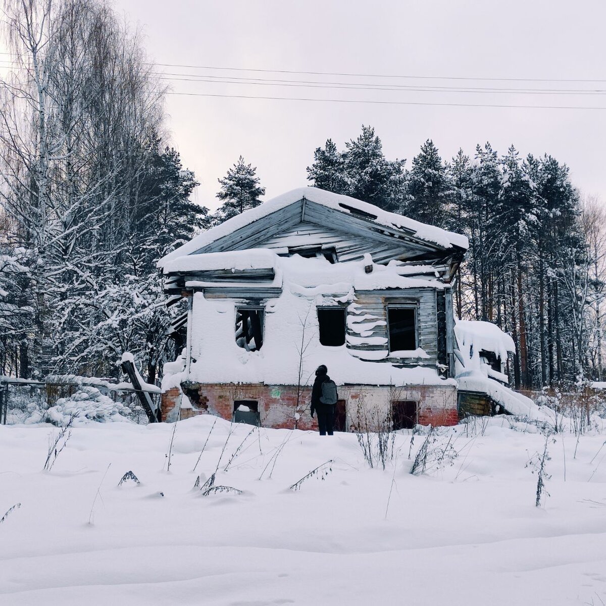 Одна панелька в зимнеплесу