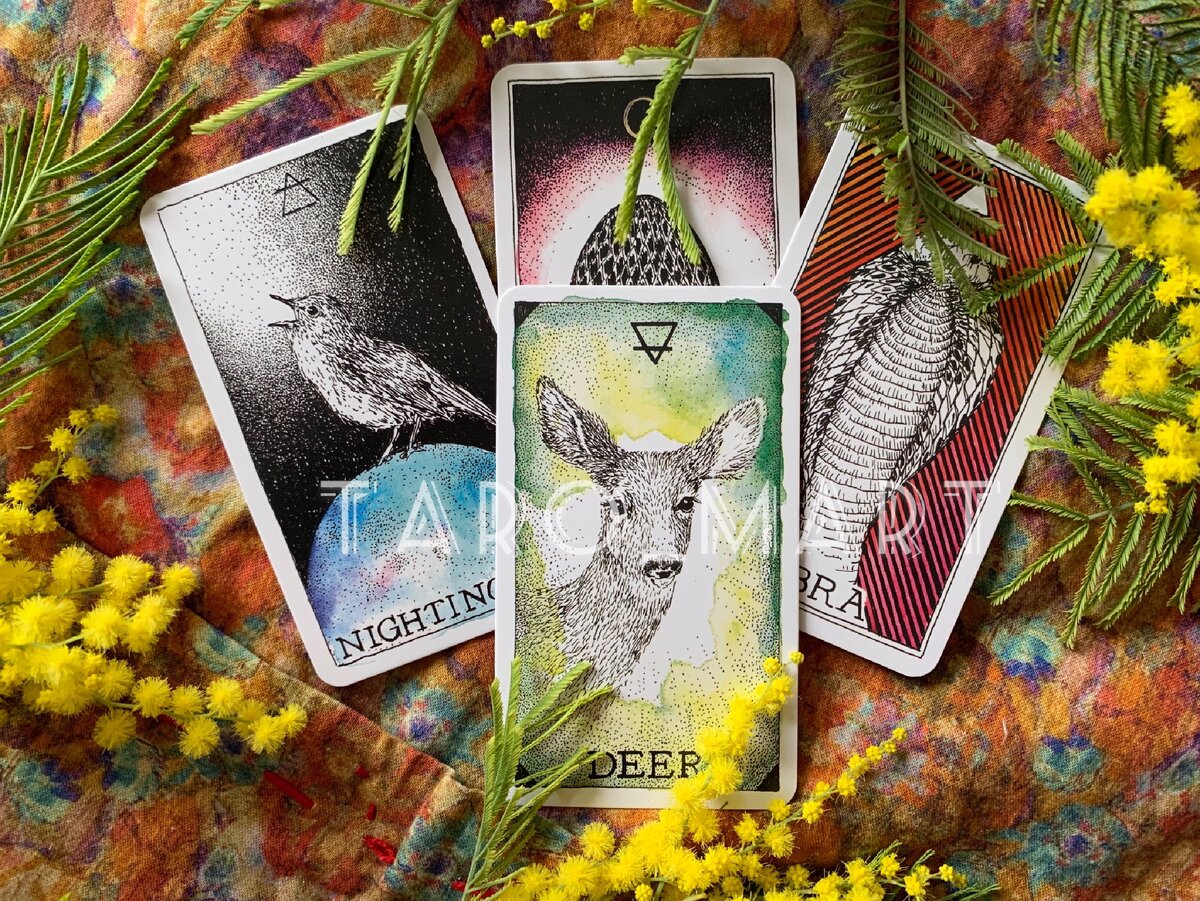 Фото из личной коллекции автора