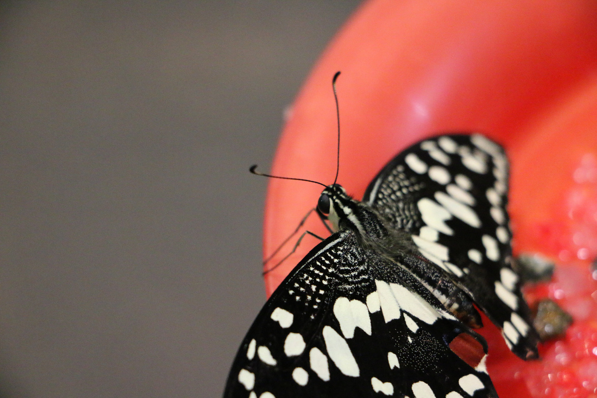 Как бы вы красиво не написали, все равно найдется кто-то, кому это не понравится...